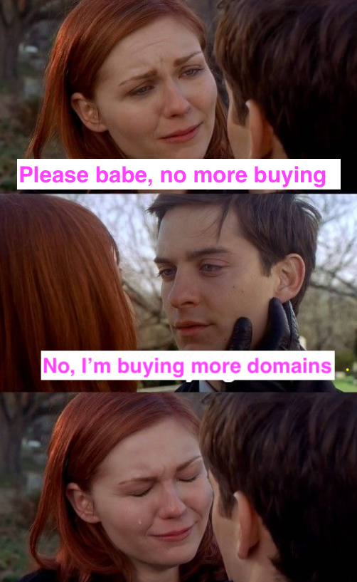 Startup Meme Domain Purchase